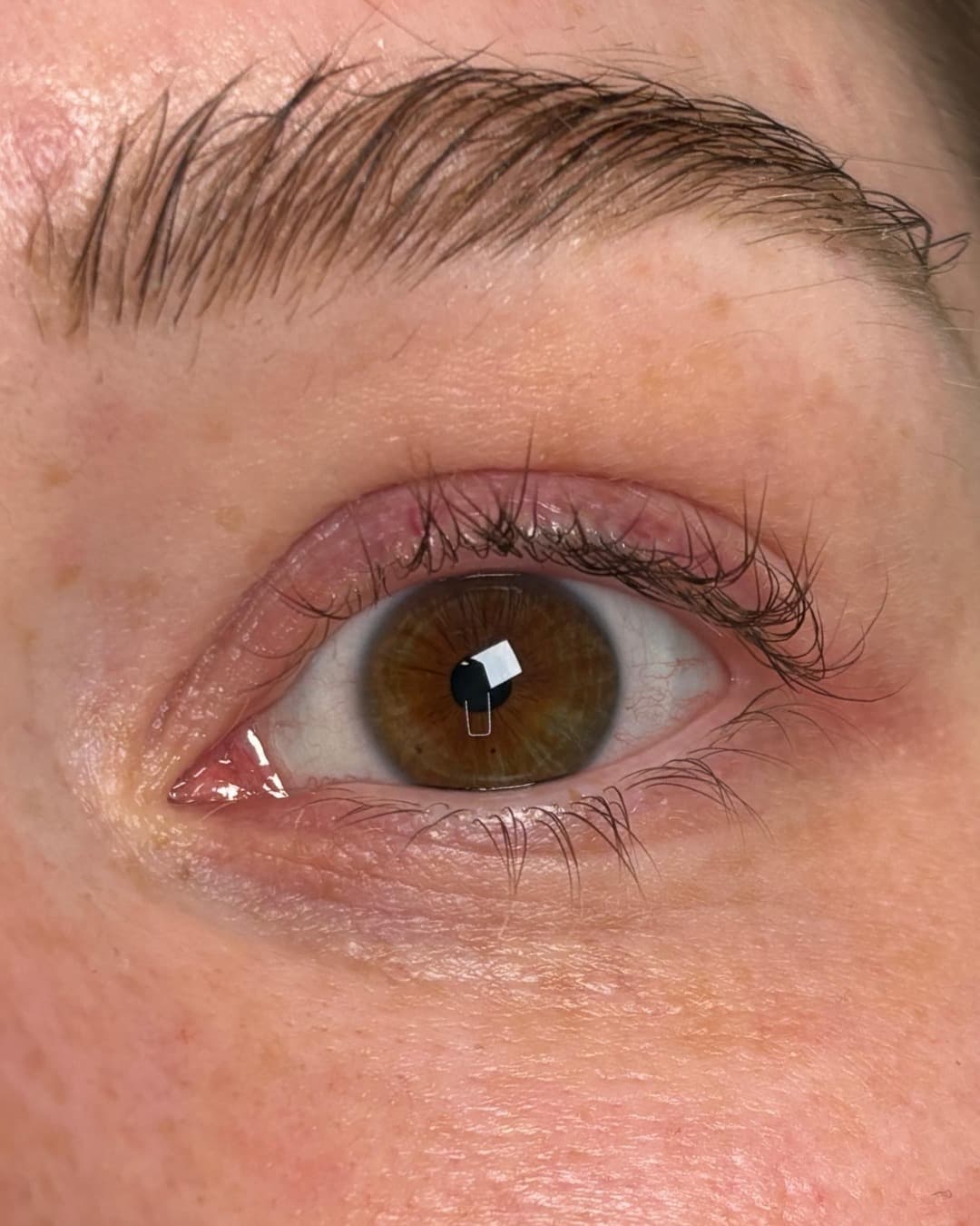 Lashlifting – Vorher & Nachher Before